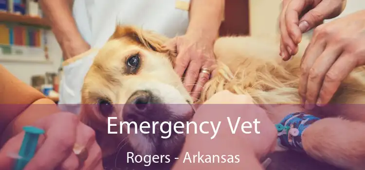 Emergency Vet Rogers - Arkansas