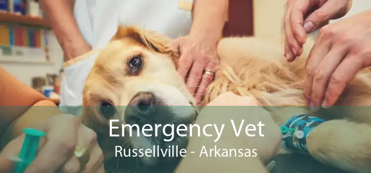 Emergency Vet Russellville - Arkansas