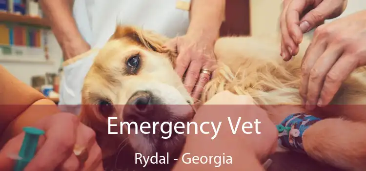 Emergency Vet Rydal - Georgia