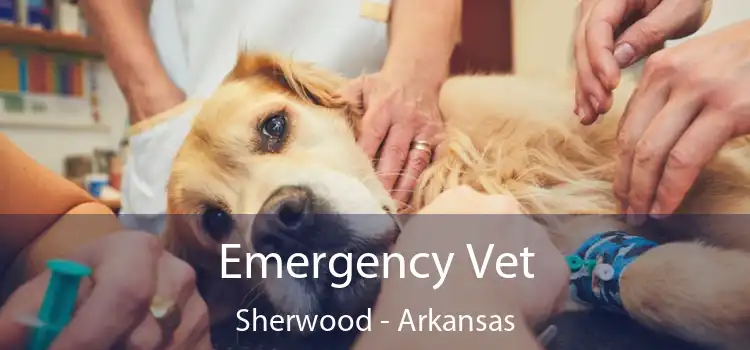 Emergency Vet Sherwood - Arkansas