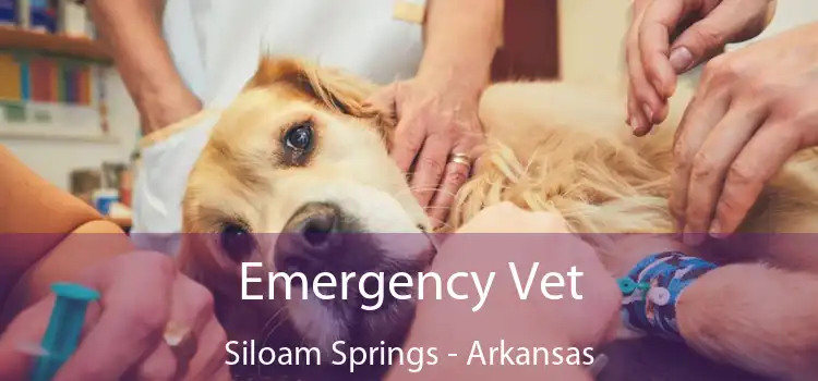 Emergency Vet Siloam Springs - Arkansas