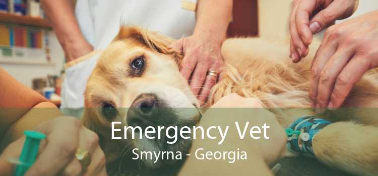 Emergency Vet Smyrna - Georgia