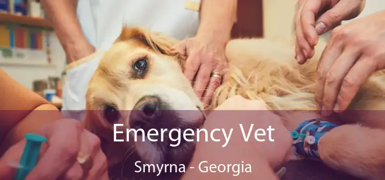 Emergency Vet Smyrna - Georgia