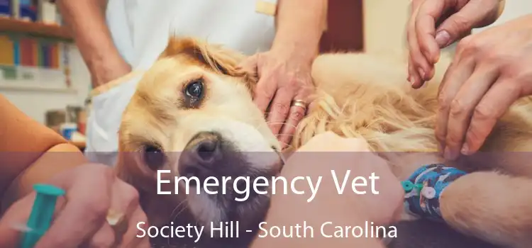 Emergency Vet Society Hill - South Carolina