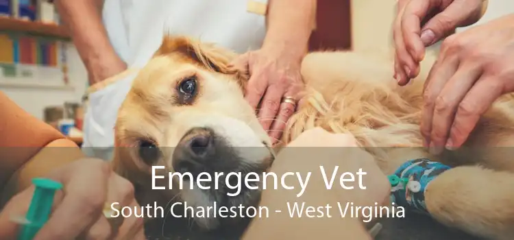 Emergency Vet South Charleston - West Virginia