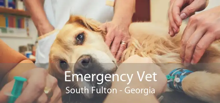 Emergency Vet South Fulton - Georgia