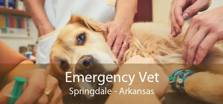 Emergency Vet Springdale - Arkansas