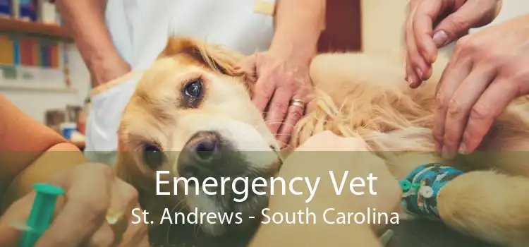 Emergency Vet St. Andrews - South Carolina