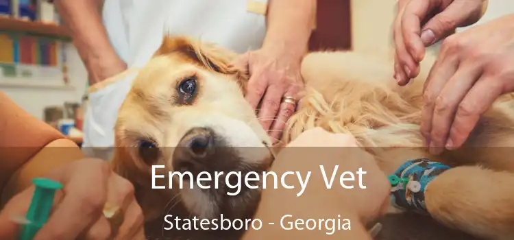 Emergency Vet Statesboro - Georgia