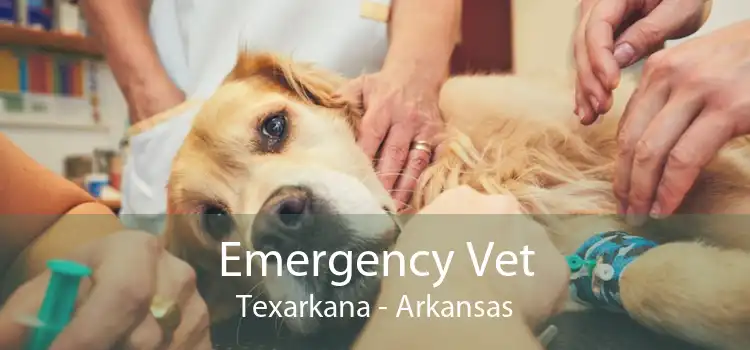 Emergency Vet Texarkana - Arkansas
