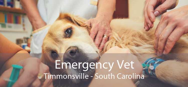 Emergency Vet Timmonsville - South Carolina