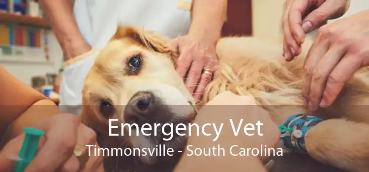 Emergency Vet Timmonsville - South Carolina