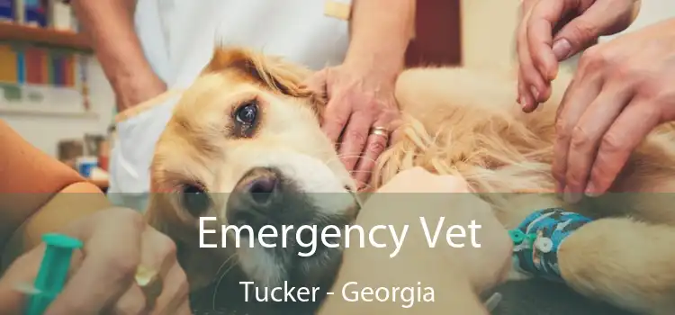 Emergency Vet Tucker - Georgia