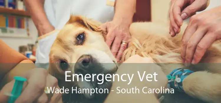 Emergency Vet Wade Hampton - South Carolina