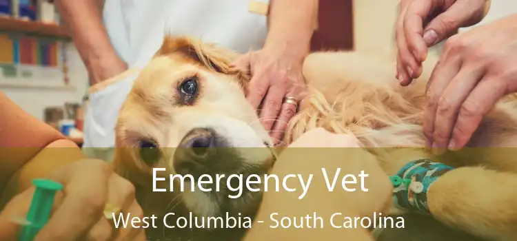 Emergency Vet West Columbia - South Carolina