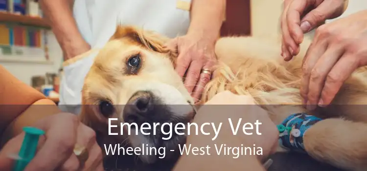 Emergency Vet Wheeling - West Virginia
