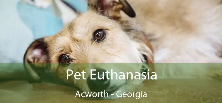 Pet Euthanasia Acworth - Georgia