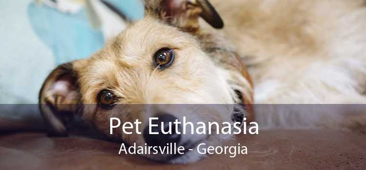 Pet Euthanasia Adairsville - Georgia
