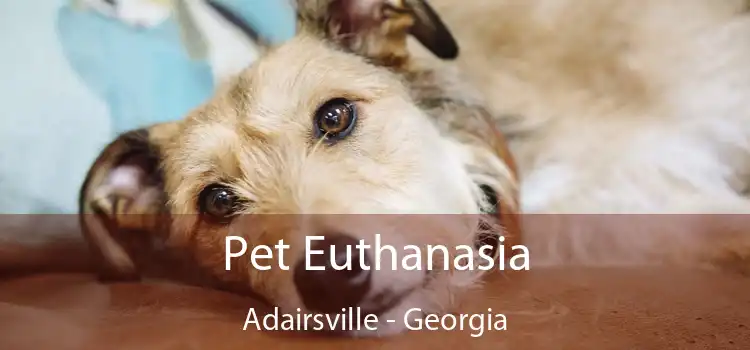 Pet Euthanasia Adairsville - Georgia