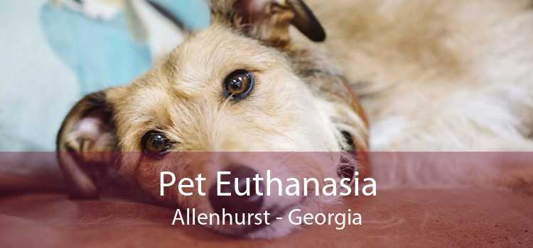 Pet Euthanasia Allenhurst - Georgia
