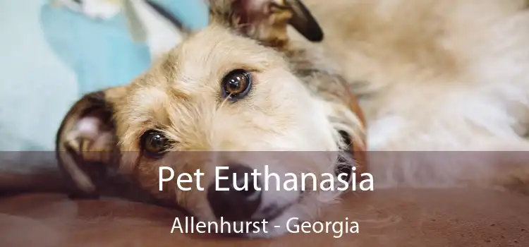 Pet Euthanasia Allenhurst - Georgia