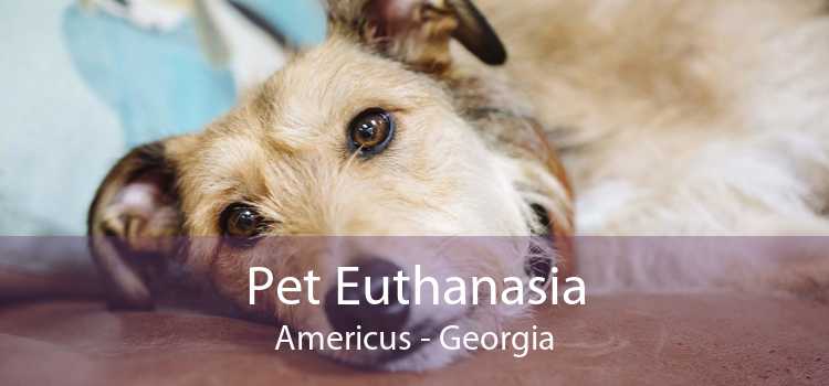 Pet Euthanasia Americus - Georgia