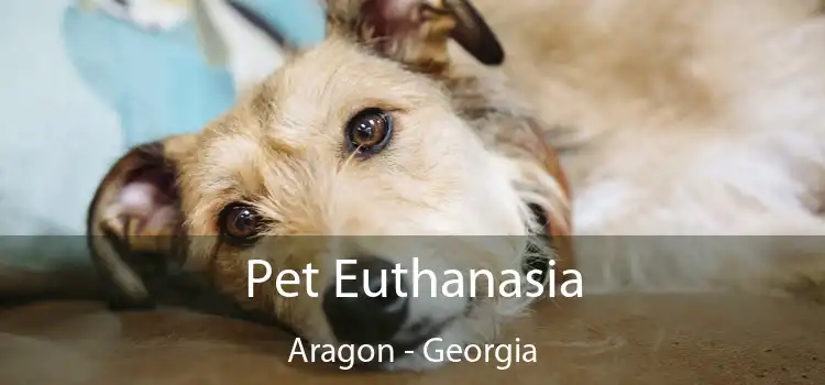 Pet Euthanasia Aragon - Georgia