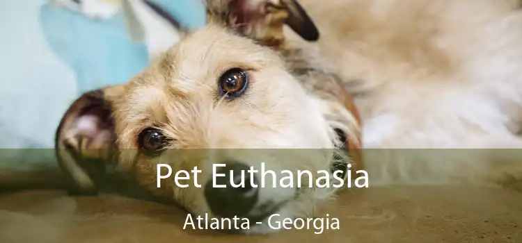 Pet Euthanasia Atlanta - Georgia