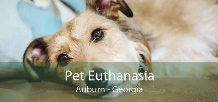 Pet Euthanasia Auburn - Georgia