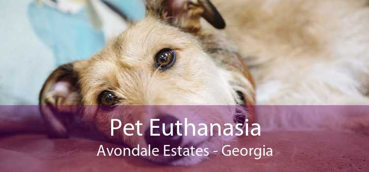 Pet Euthanasia Avondale Estates - Georgia