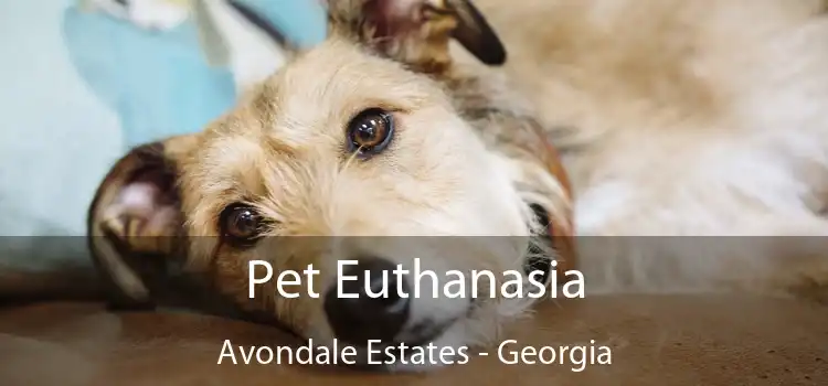 Pet Euthanasia Avondale Estates - Georgia