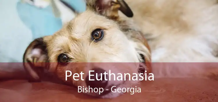 Pet Euthanasia Bishop - Georgia