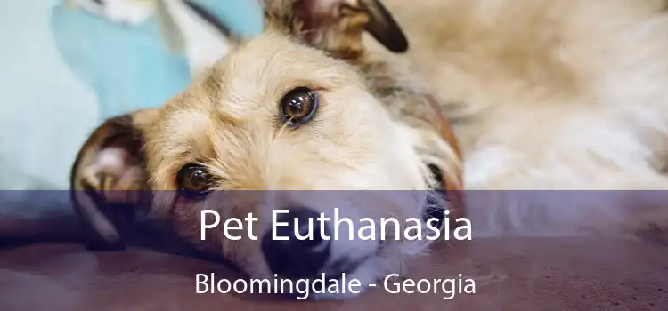 Pet Euthanasia Bloomingdale - Georgia