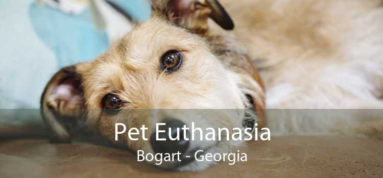 Pet Euthanasia Bogart - Georgia