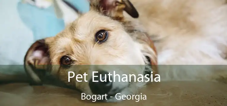 Pet Euthanasia Bogart - Georgia