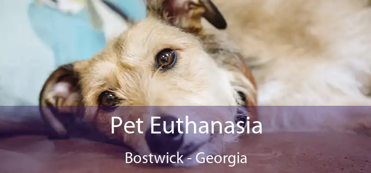 Pet Euthanasia Bostwick - Georgia