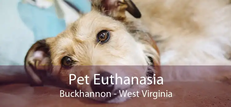 Pet Euthanasia Buckhannon - West Virginia