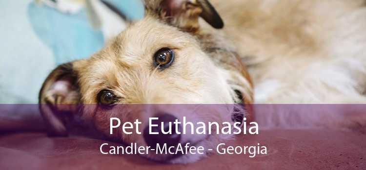 Pet Euthanasia Candler-McAfee - Georgia