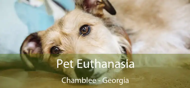 Pet Euthanasia Chamblee - Georgia