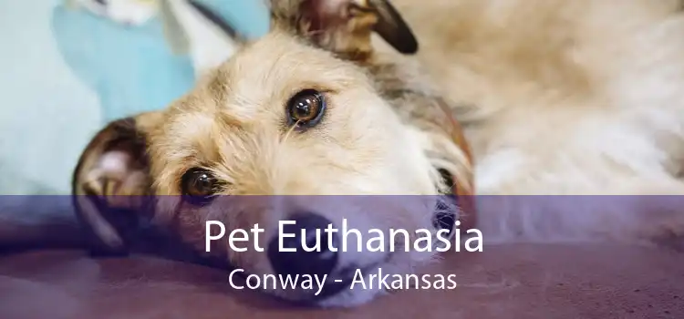 Pet Euthanasia Conway - Arkansas