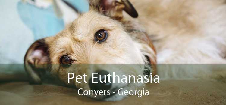 Pet Euthanasia Conyers - Georgia