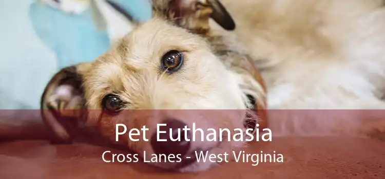 Pet Euthanasia Cross Lanes - West Virginia