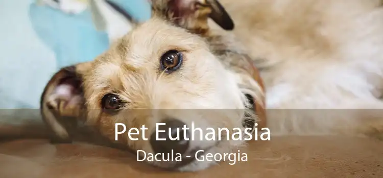 Pet Euthanasia Dacula - Georgia