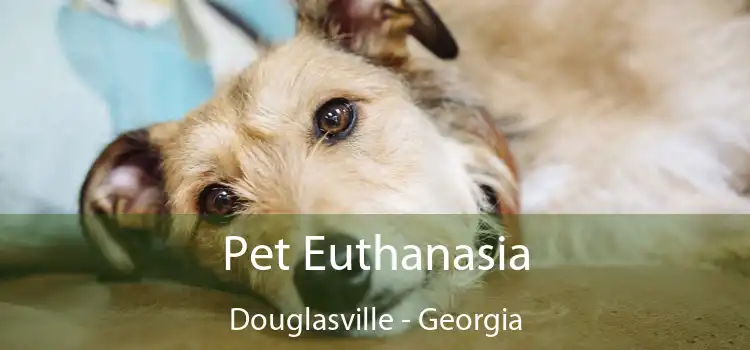 Pet Euthanasia Douglasville - Georgia