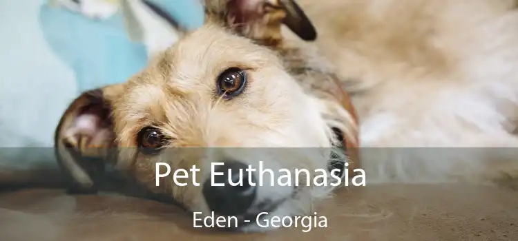 Pet Euthanasia Eden - Georgia