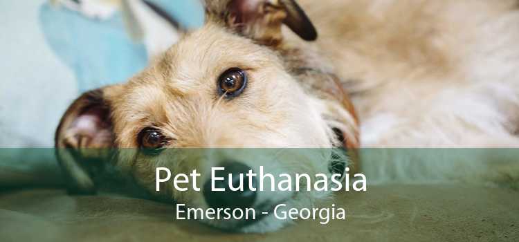 Pet Euthanasia Emerson - Georgia