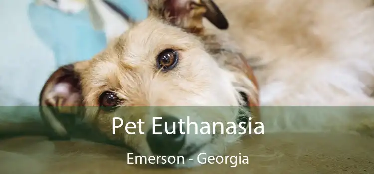 Pet Euthanasia Emerson - Georgia