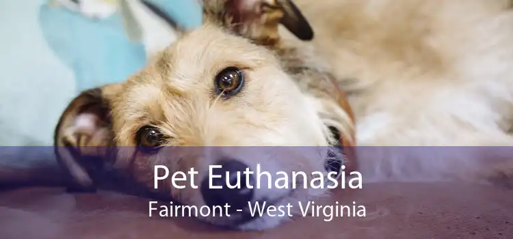 Pet Euthanasia Fairmont - West Virginia
