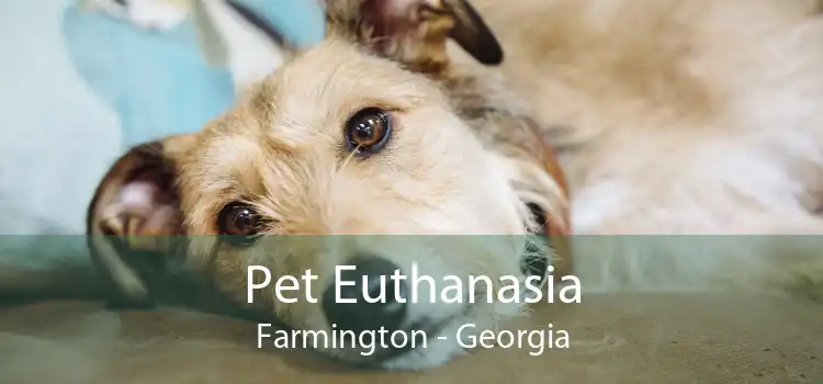 Pet Euthanasia Farmington - Georgia