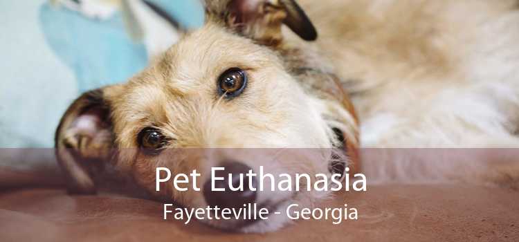 Pet Euthanasia Fayetteville - Georgia